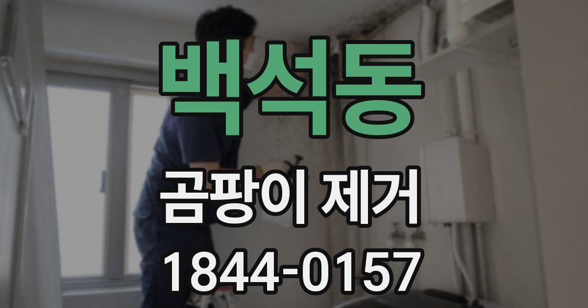백석동 곰팡이 제거