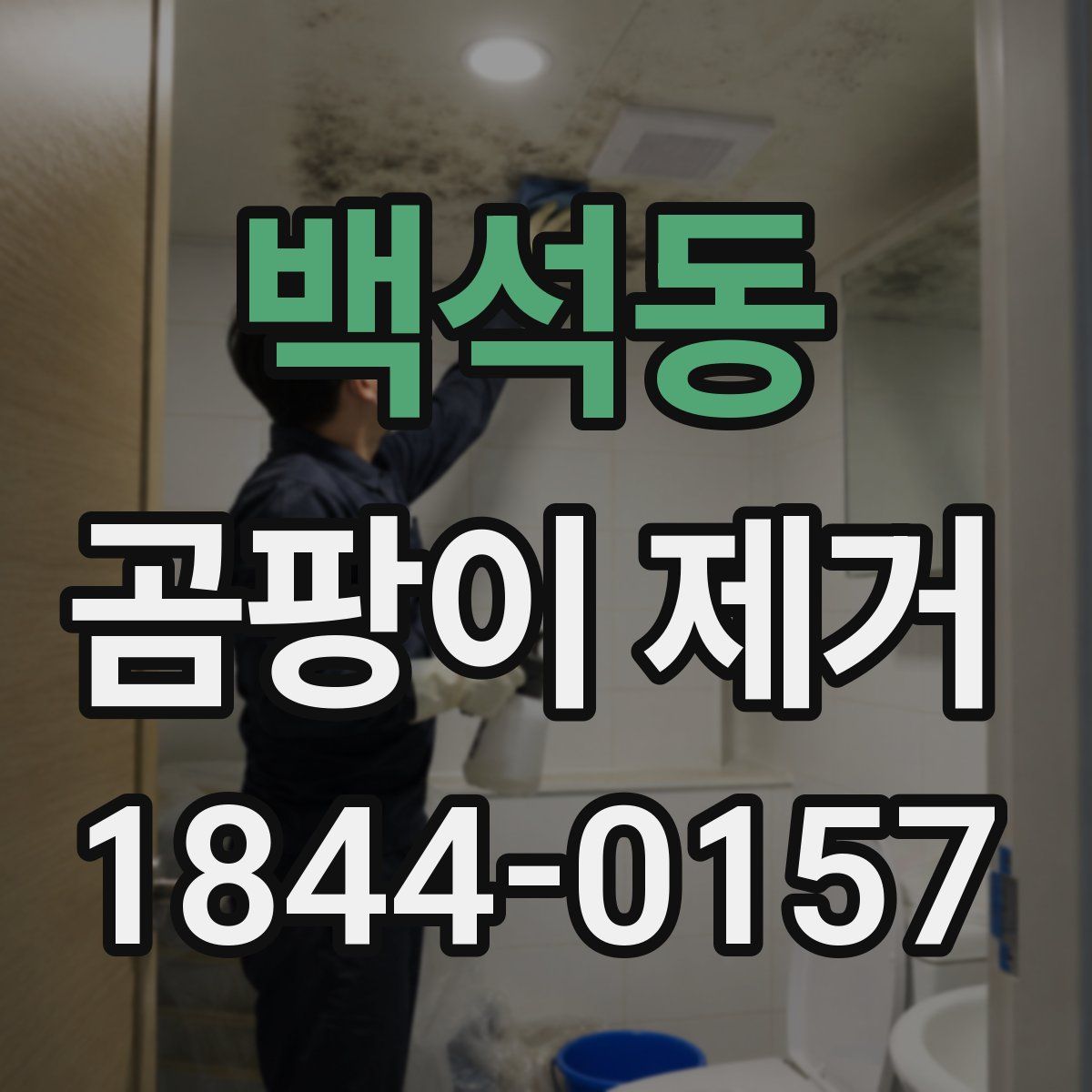 백석동 곰팡이 제거