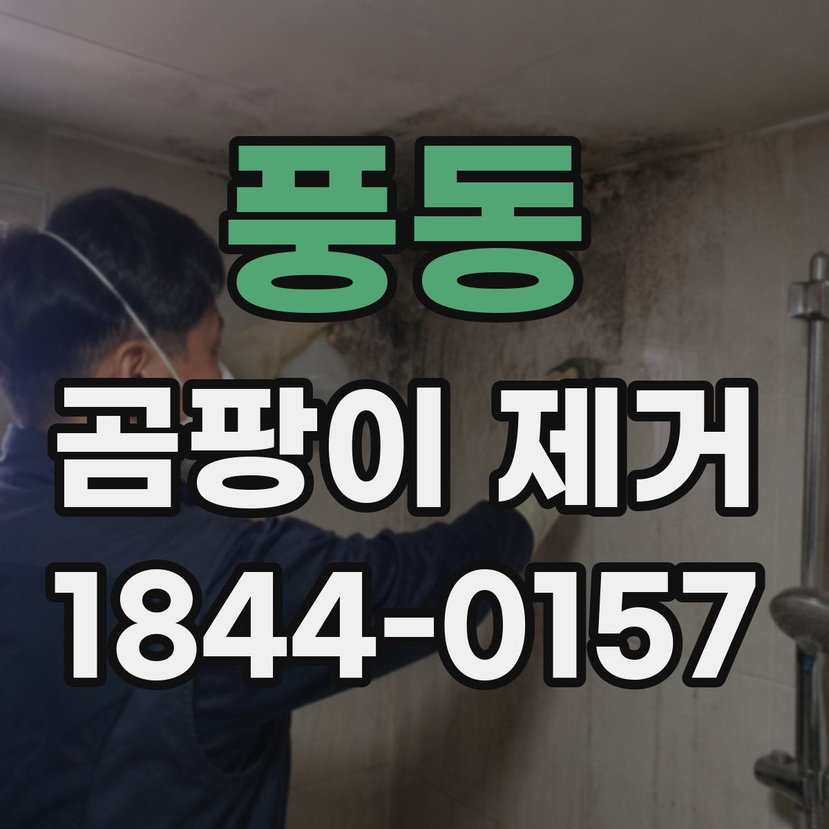 풍동 곰팡이 제거