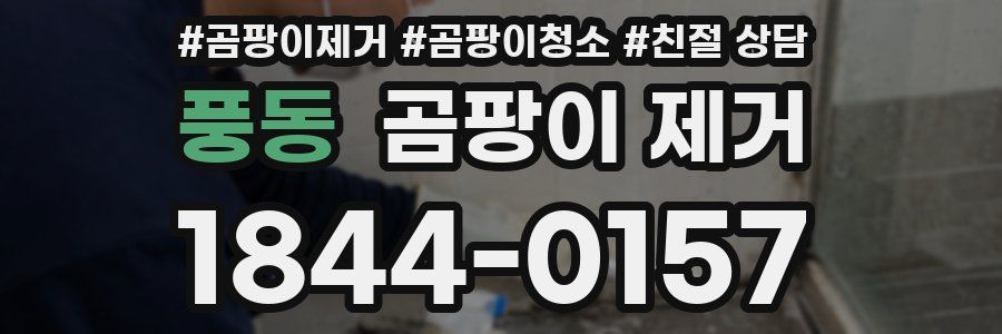 풍동 곰팡이 제거