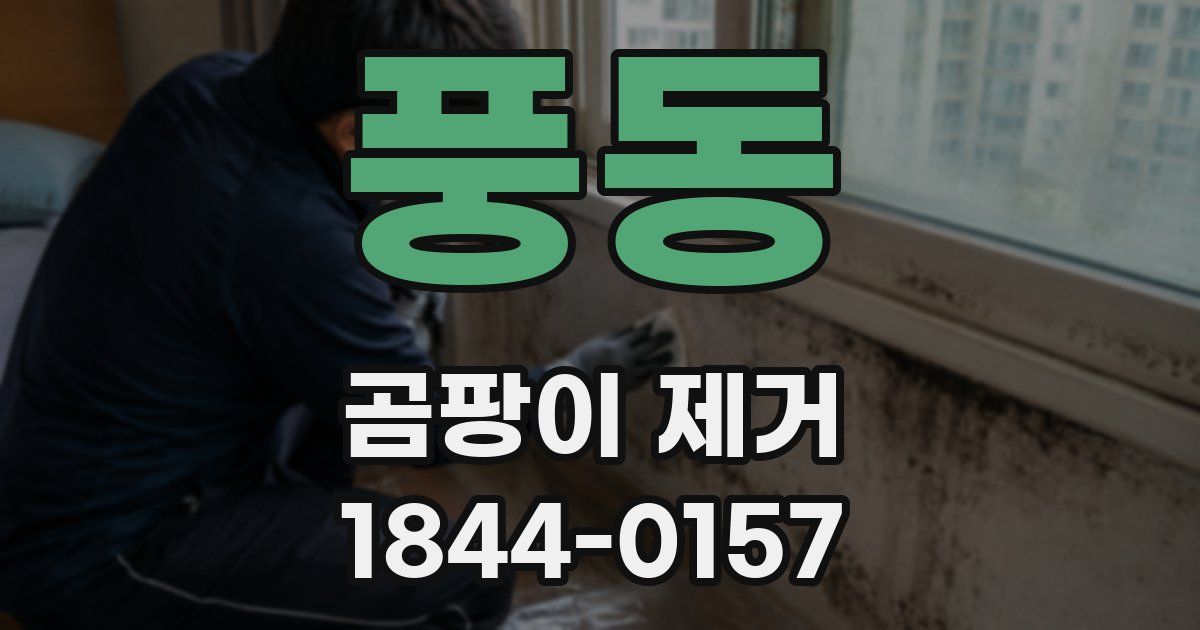 풍동 곰팡이 제거