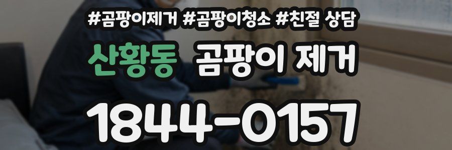 산황동 곰팡이 제거