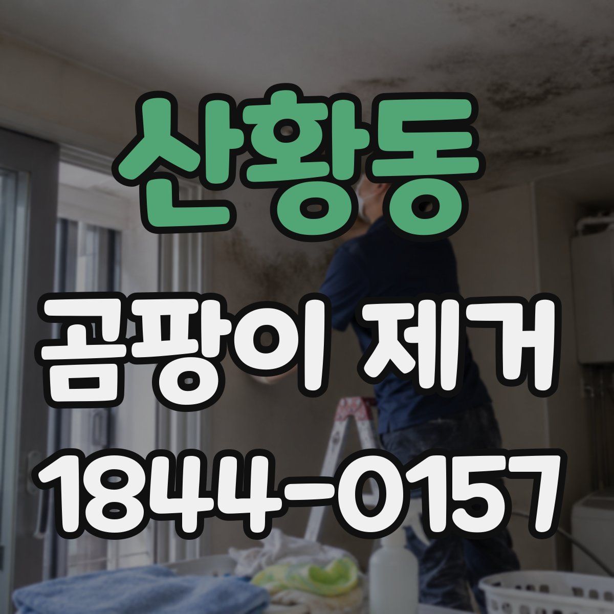 산황동 곰팡이 제거