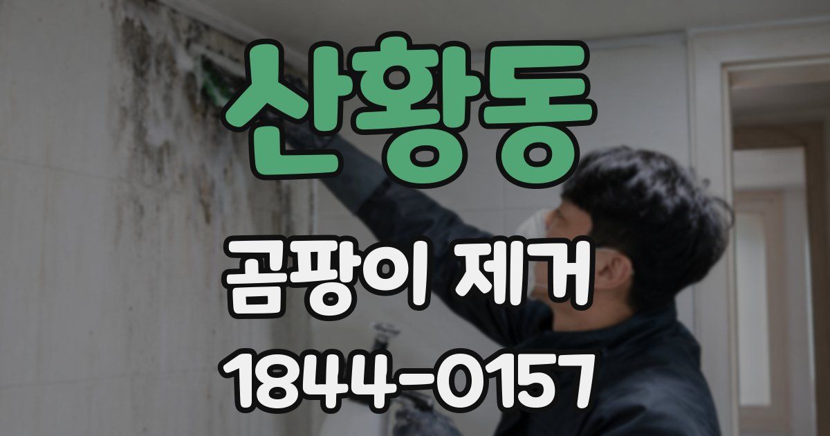 산황동 곰팡이 제거