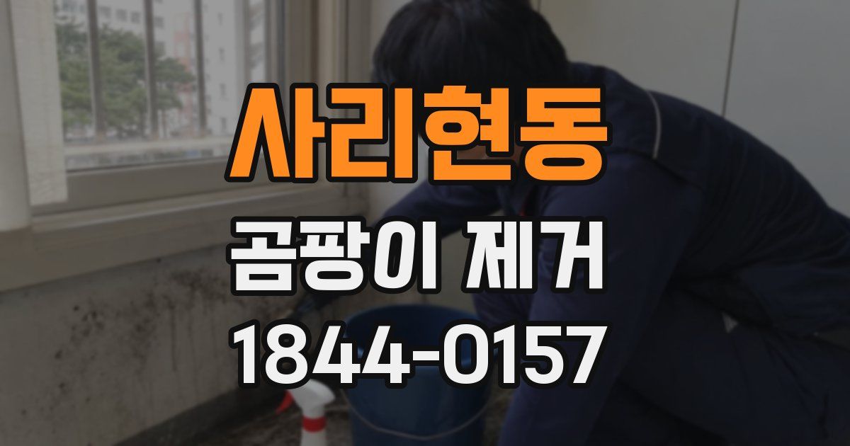 사리현동 곰팡이 제거