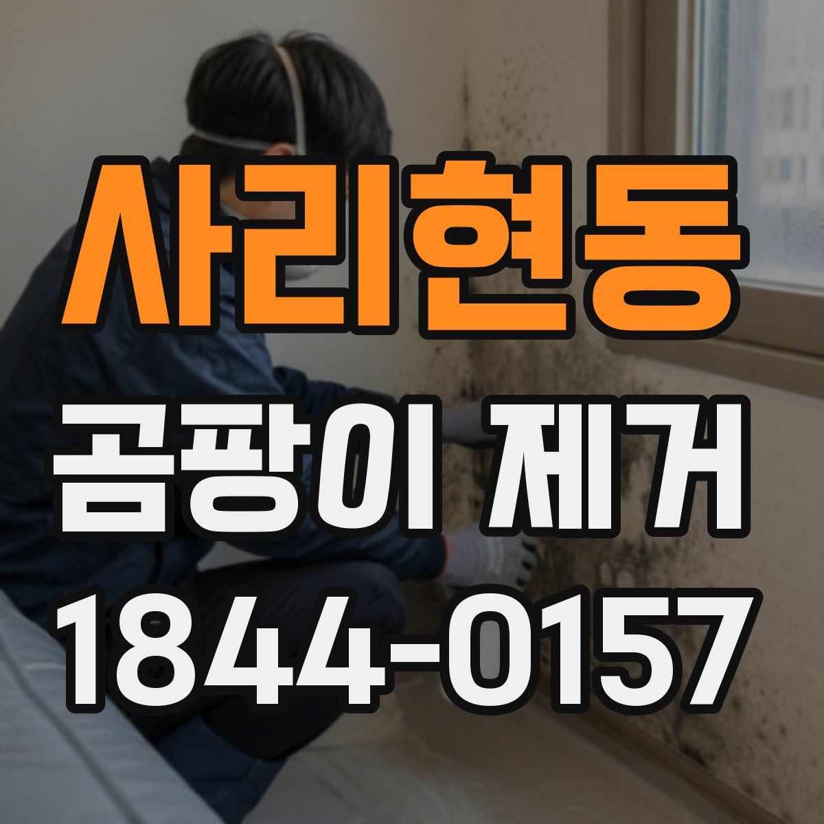 사리현동 곰팡이 제거