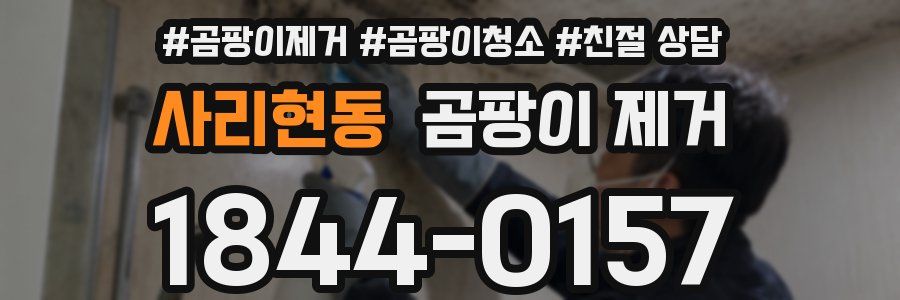 사리현동 곰팡이 제거