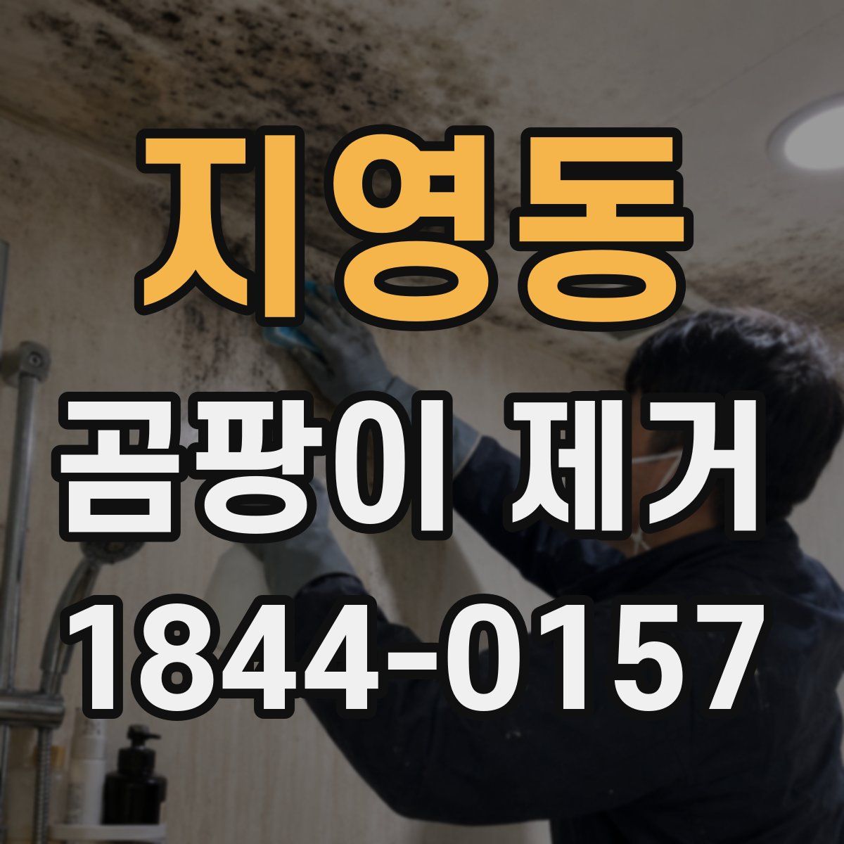 지영동 곰팡이 제거
