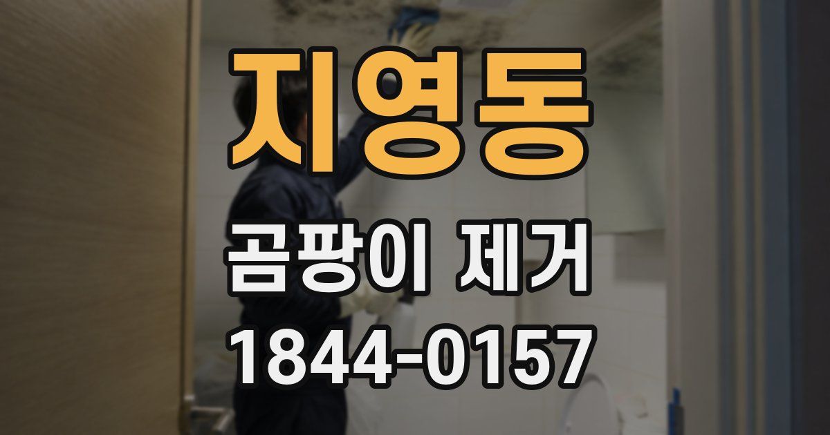 지영동 곰팡이 제거