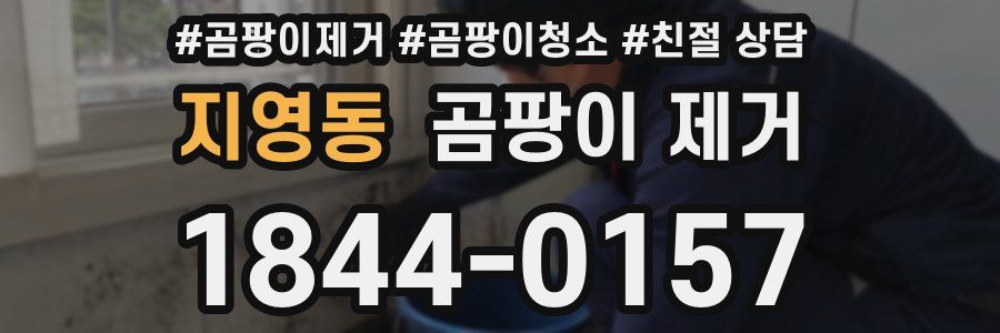 지영동 곰팡이 제거