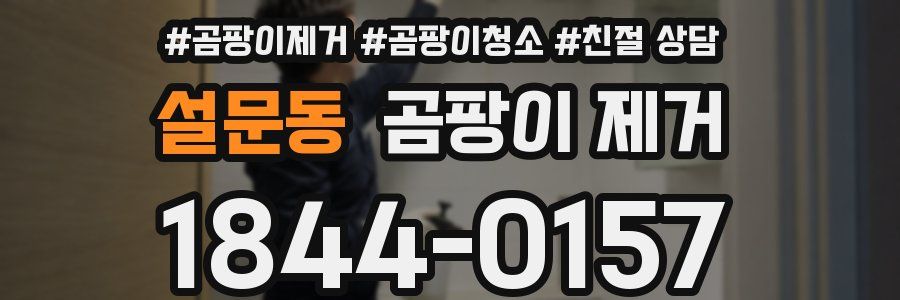 설문동 곰팡이 제거
