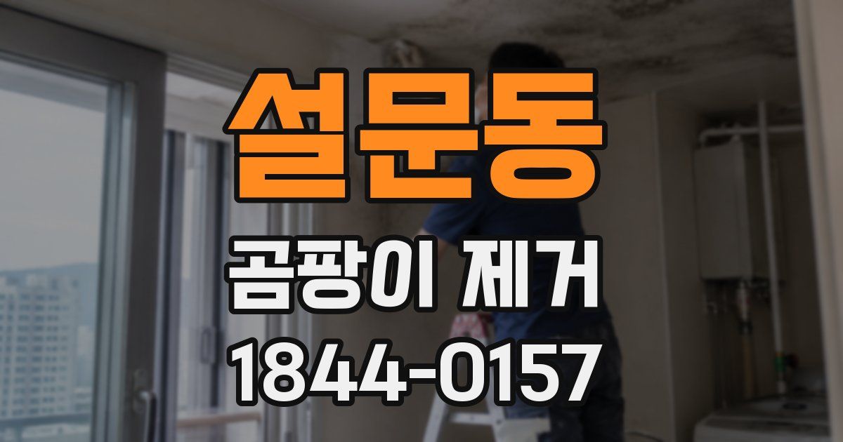 설문동 곰팡이 제거