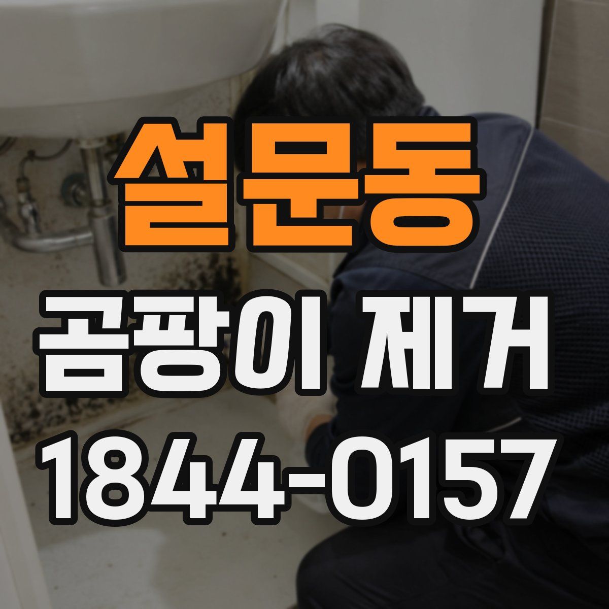 설문동 곰팡이 제거