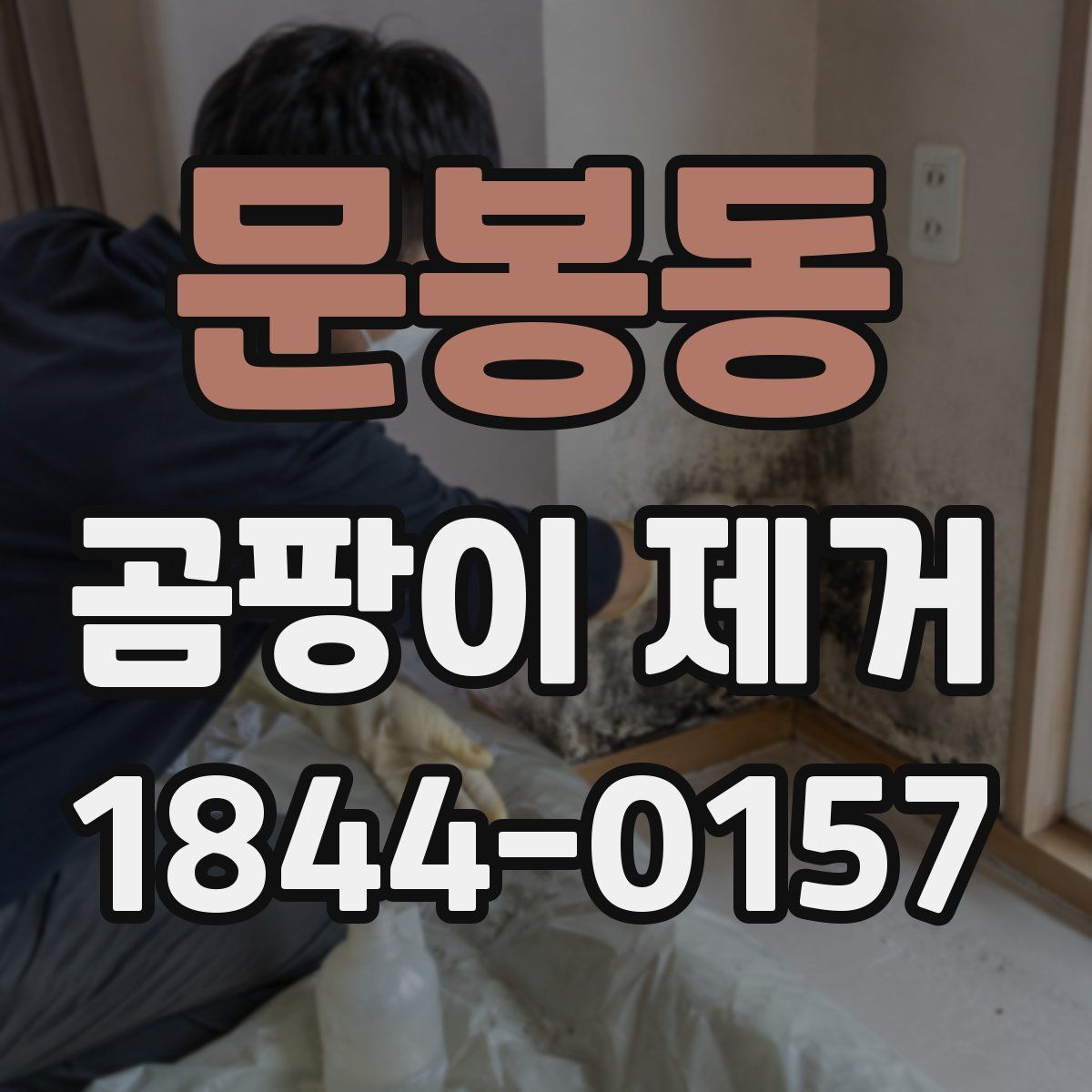 문봉동 곰팡이 제거