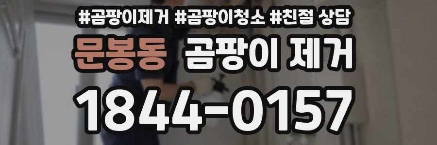 문봉동 곰팡이 제거
