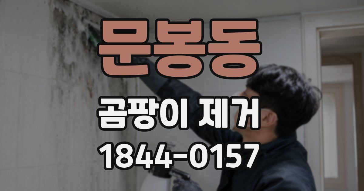 문봉동 곰팡이 제거