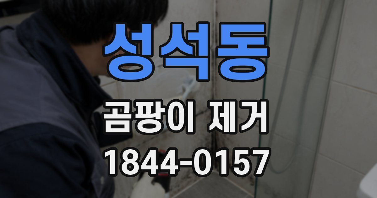 성석동 곰팡이 제거