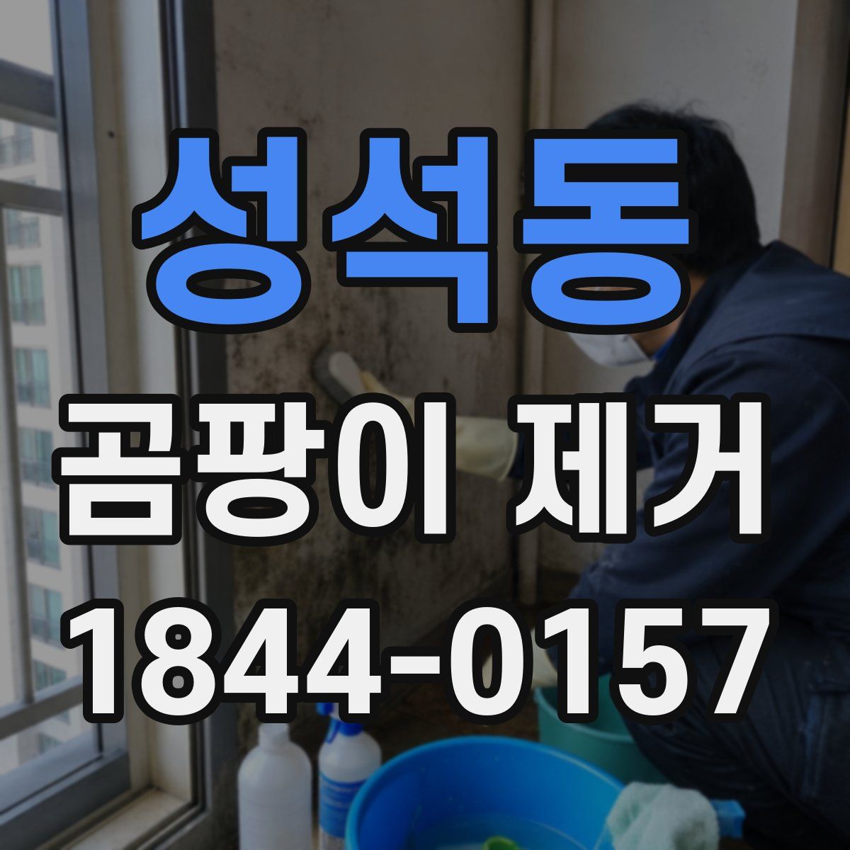 성석동 곰팡이 제거