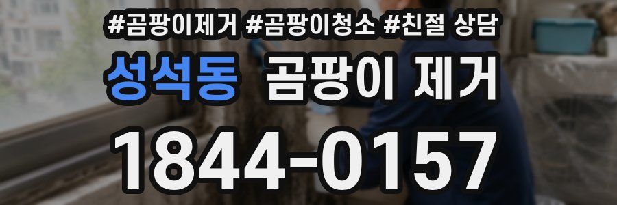 성석동 곰팡이 제거