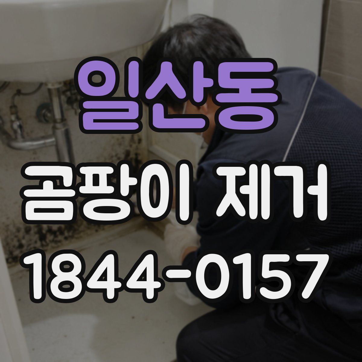 일산동 곰팡이 제거