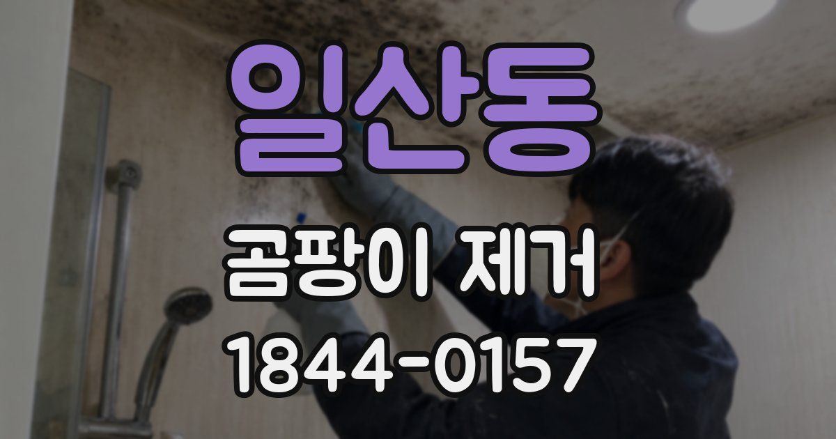 일산동 곰팡이 제거