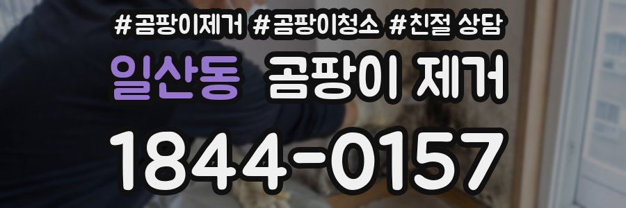 일산동 곰팡이 제거