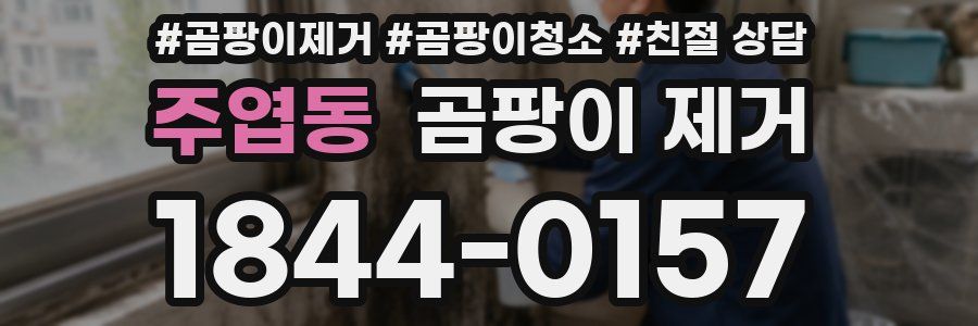 주엽동 곰팡이 제거