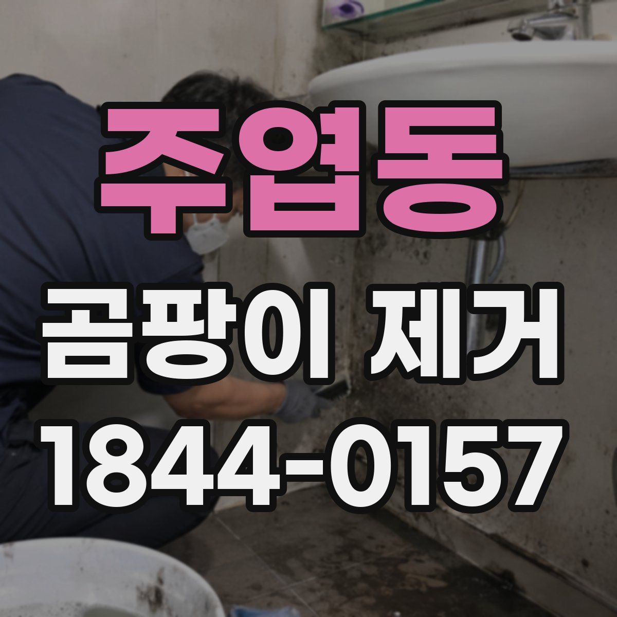 주엽동 곰팡이 제거