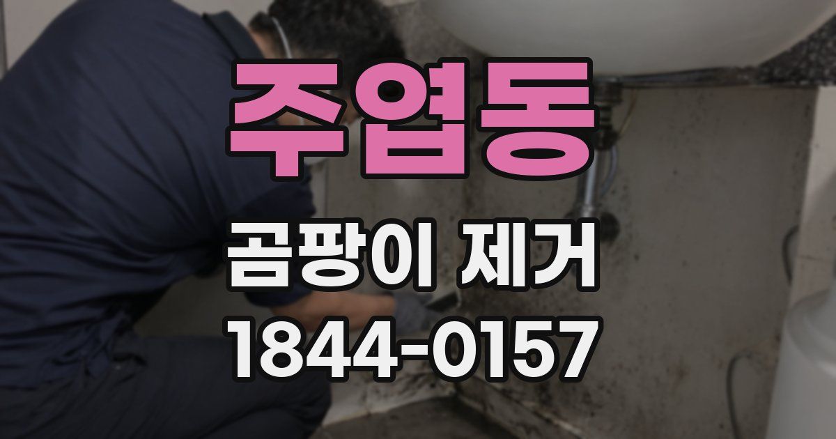 주엽동 곰팡이 제거