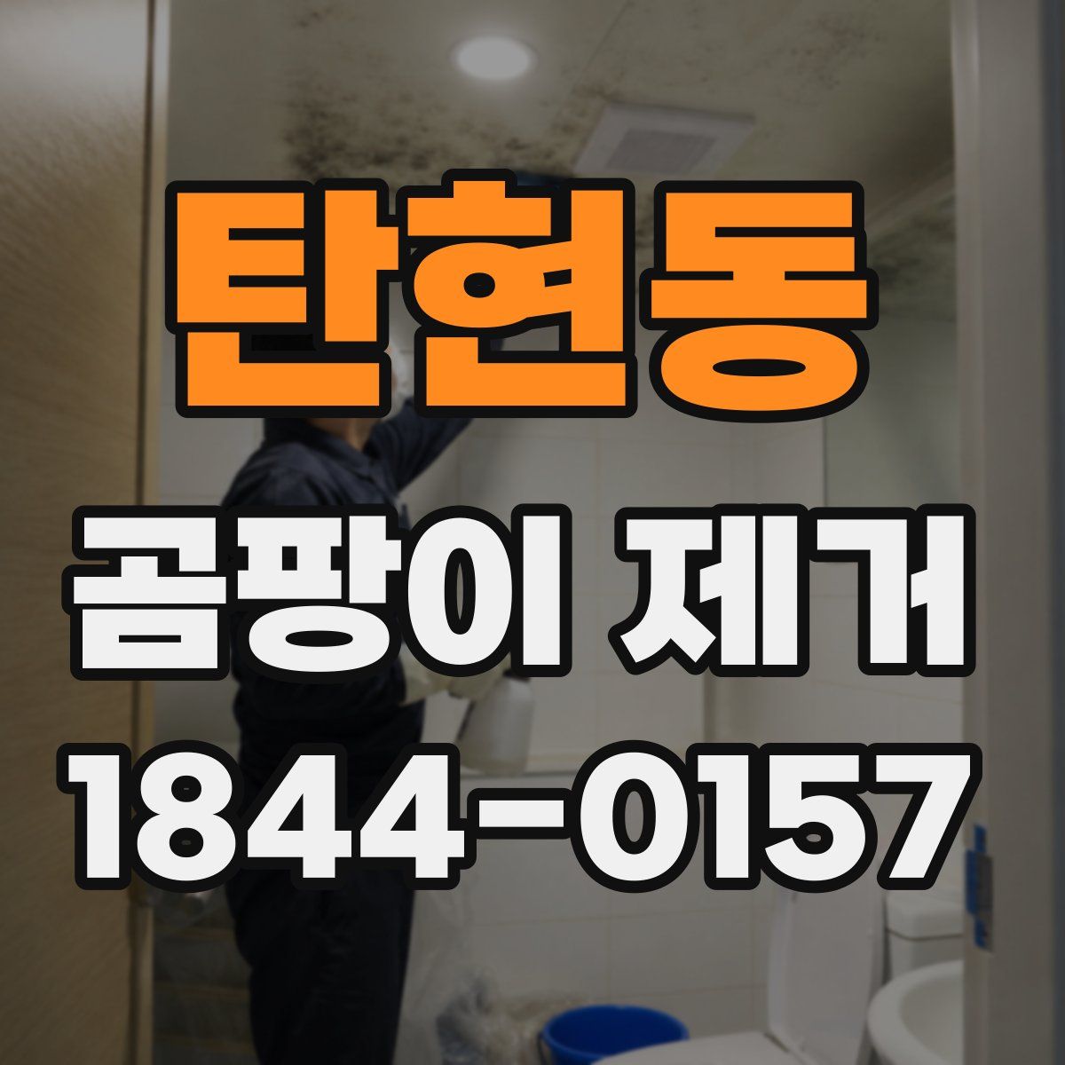 탄현동 곰팡이 제거