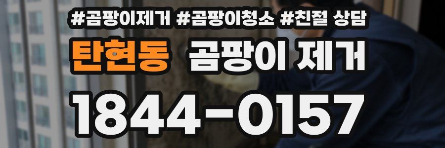 탄현동 곰팡이 제거