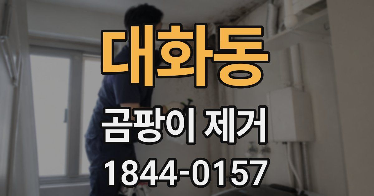 대화동 곰팡이 제거