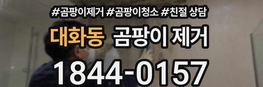 대화동 곰팡이 제거
