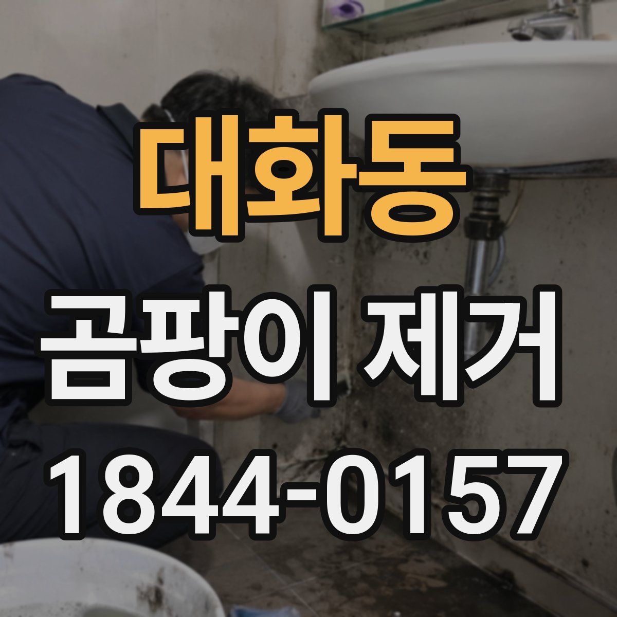 대화동 곰팡이 제거