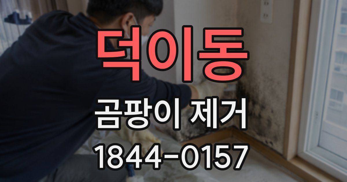 덕이동 곰팡이 제거