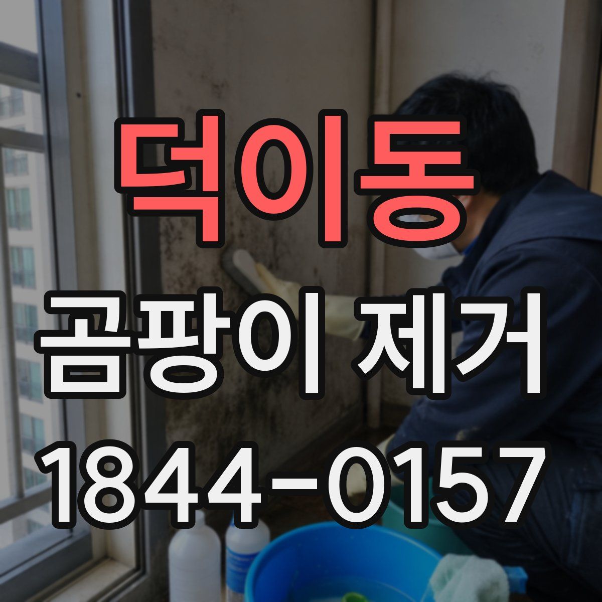 덕이동 곰팡이 제거