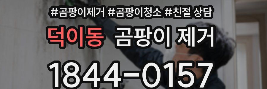 덕이동 곰팡이 제거