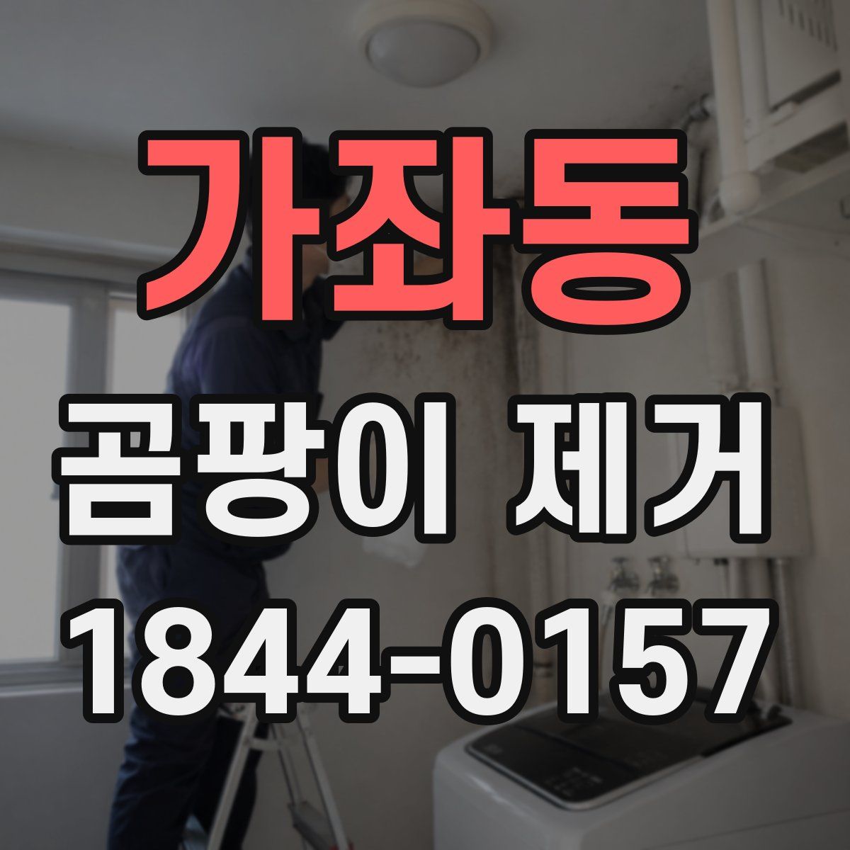 가좌동 곰팡이 제거