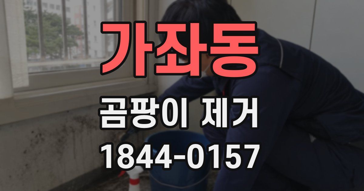 가좌동 곰팡이 제거