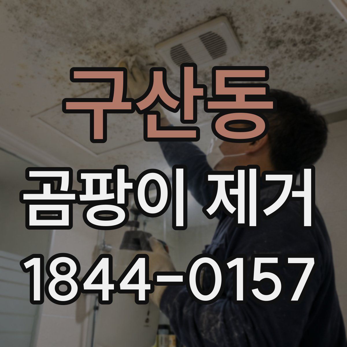 구산동 곰팡이 제거