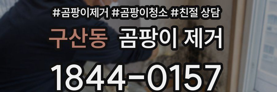 구산동 곰팡이 제거
