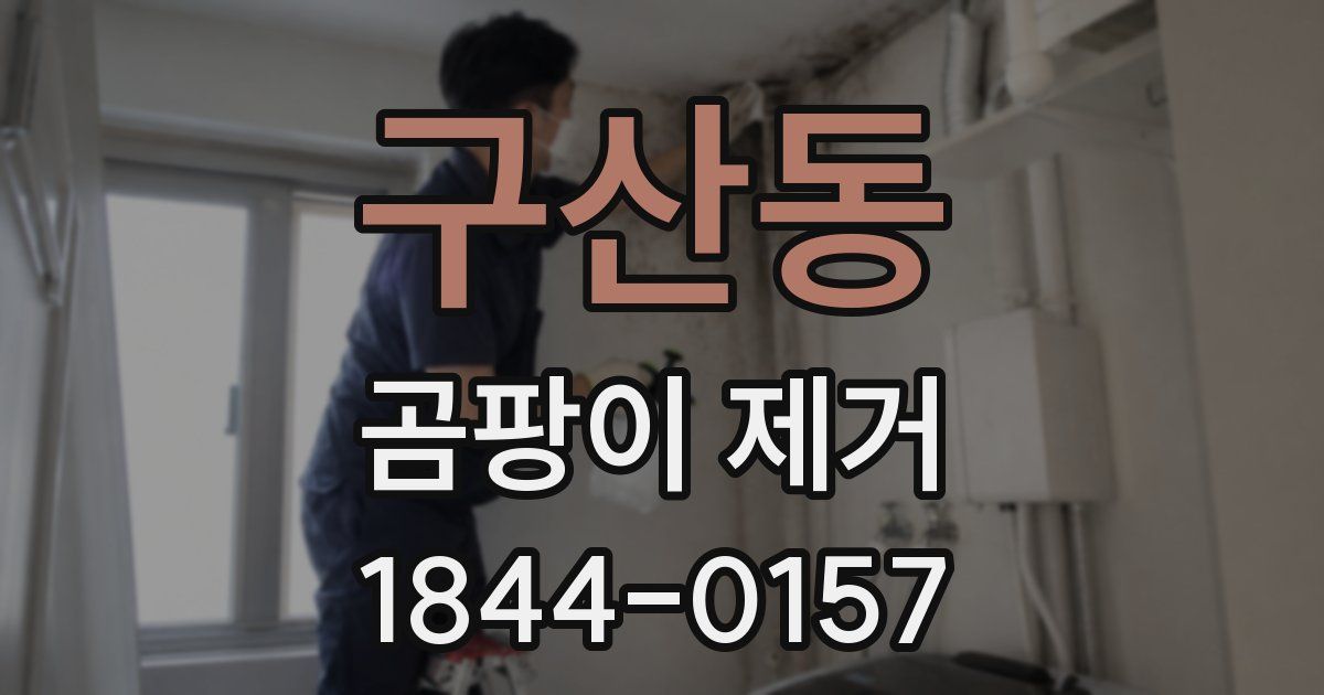 구산동 곰팡이 제거
