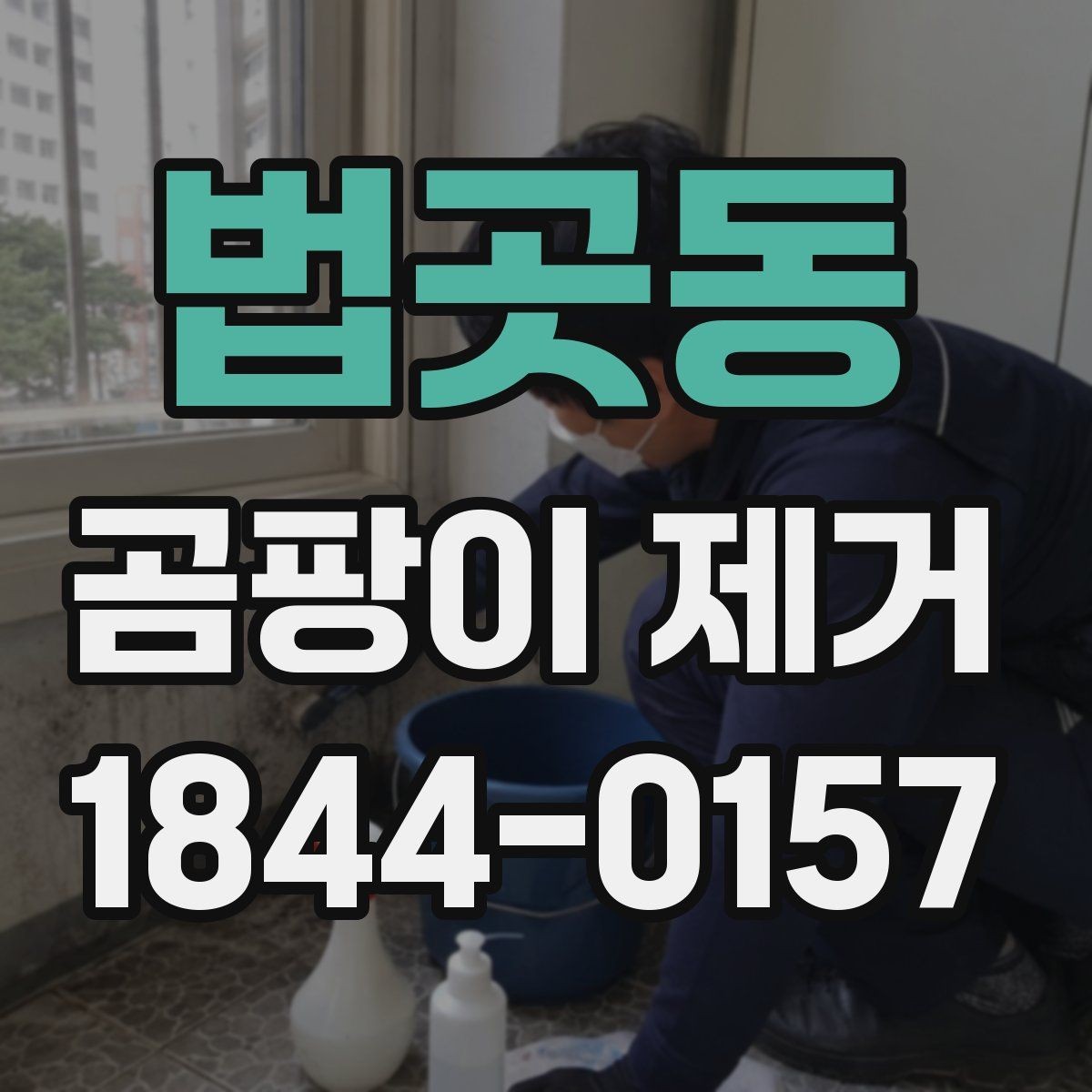 법곳동 곰팡이 제거 마감 전후 사진으로 확인할 점