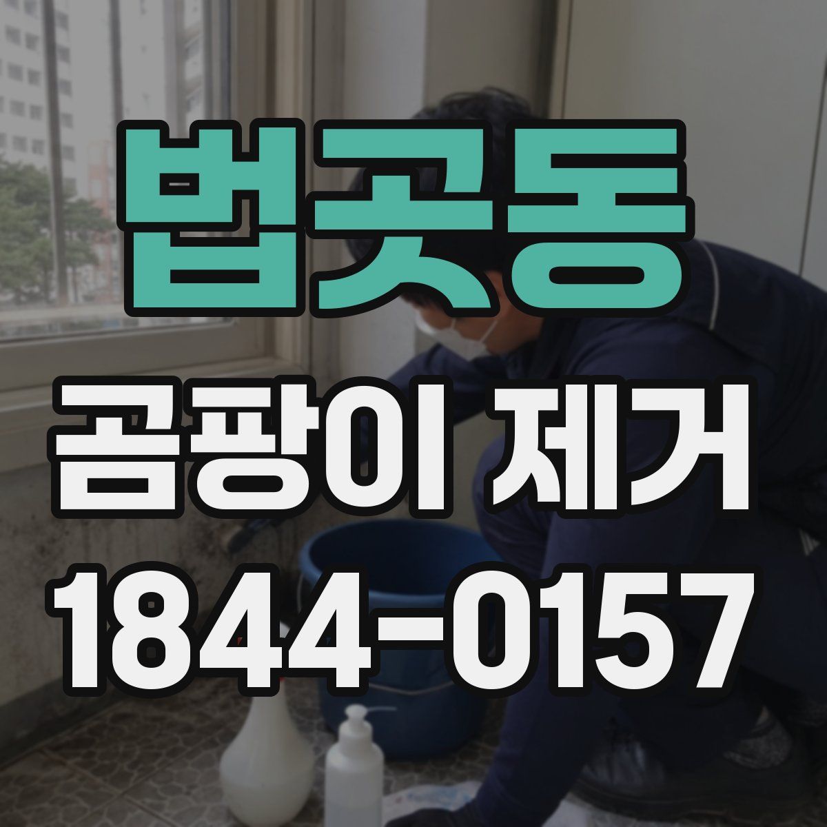 법곳동 곰팡이 제거