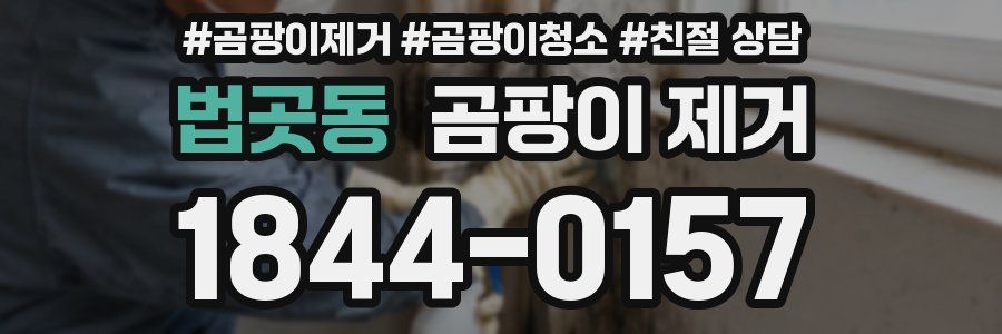 법곳동 곰팡이 제거