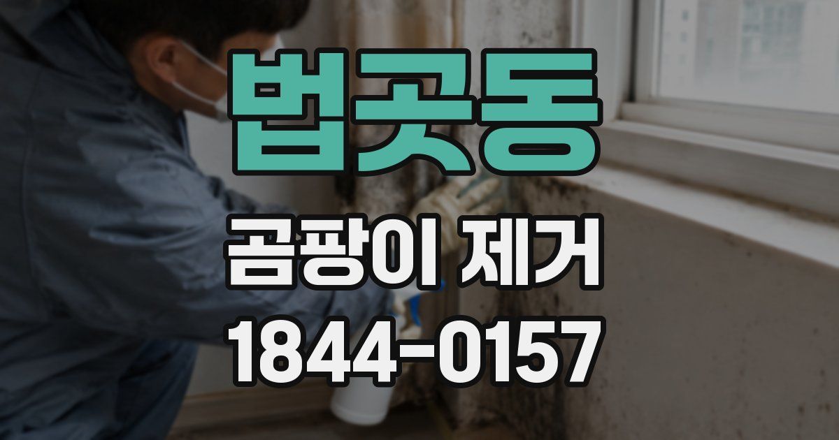 법곳동 곰팡이 제거