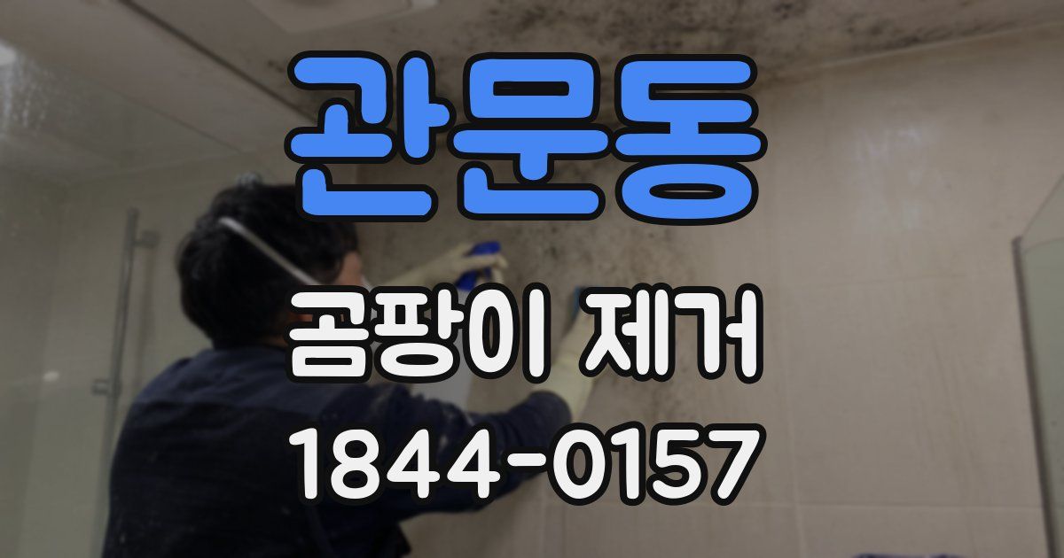 관문동 곰팡이 제거