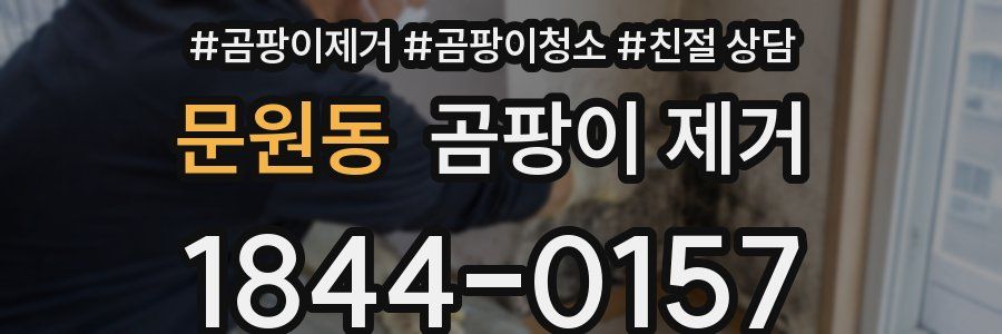 문원동 곰팡이 제거