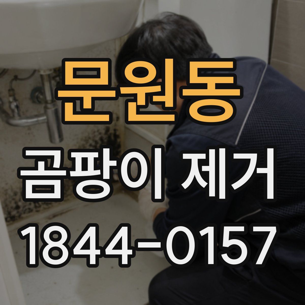 문원동 곰팡이 제거