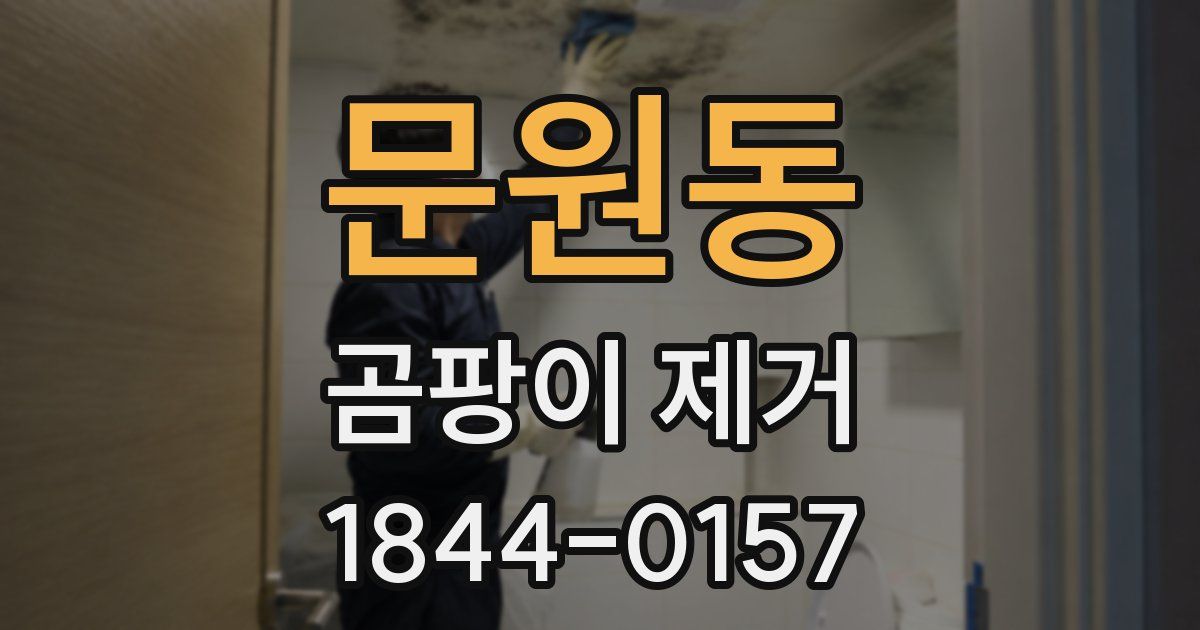 문원동 곰팡이 제거